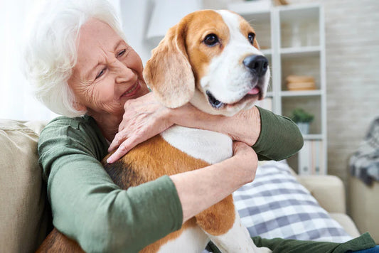 How to Protect Elderly Pet Owners from Allergies: Top Tips and the Best Air Purifiers for Clean, Pet-Friendly Homes