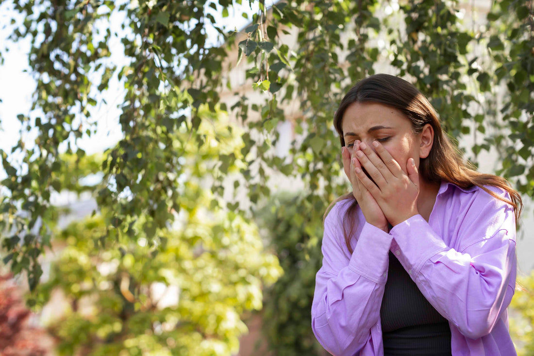 How to Choose Best Air Purifier for Allergies in New Zealand